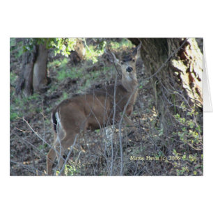 Venado (1 bis) - Personalizable