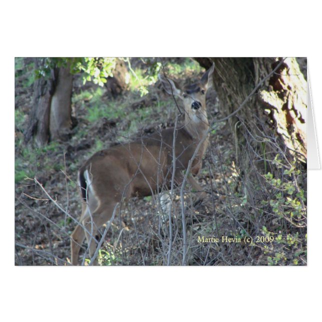 Venado (1 bis) - Personalizable (Anverso (Horizontal))