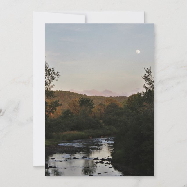 Venado bajo la luna (Anverso)