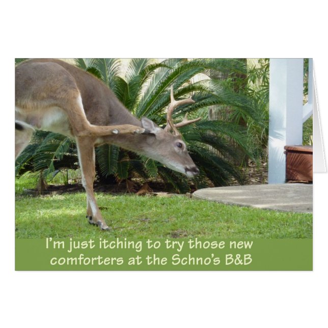 Venado con picazón (Anverso (Horizontal))