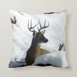Venado de cola blanca en almohada de la nieve