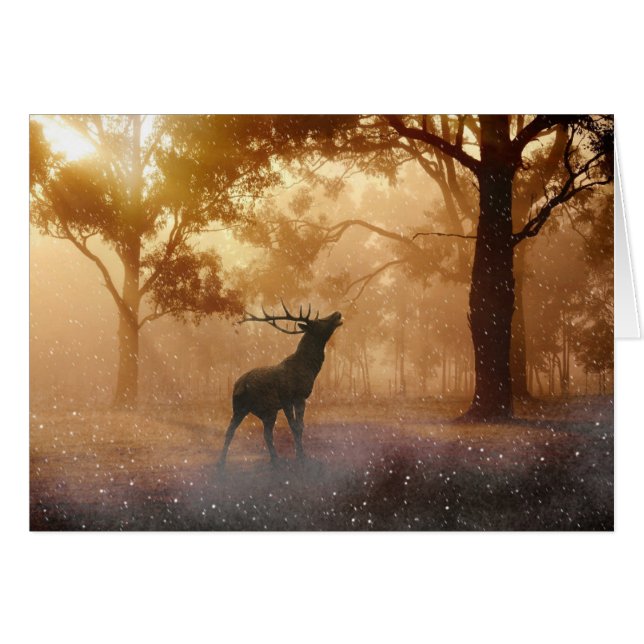 Venado En El Bosque (Anverso (Horizontal))