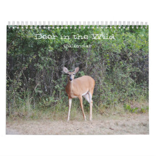 Venado en el salvaje calendario fotográfico