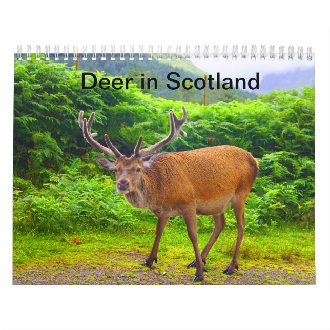 Venado en Escocia - Calendario (Tapa)