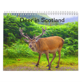 Venado en Escocia - Calendario