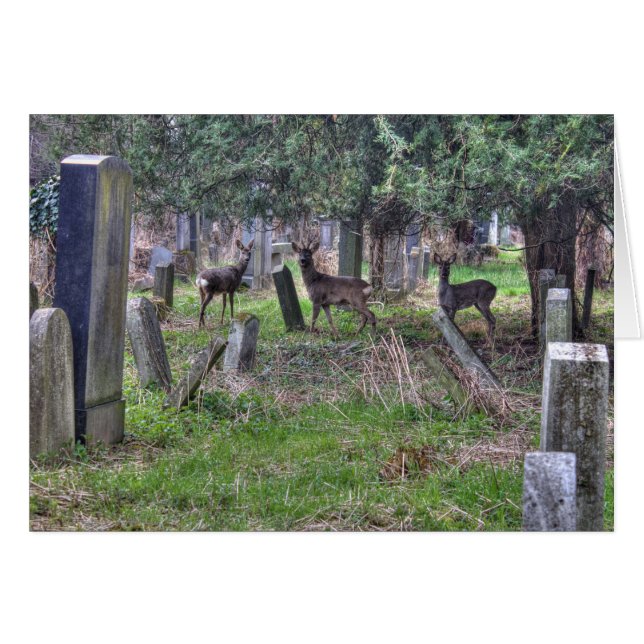 Venado En Zentralfriedhof (Anverso (Horizontal))