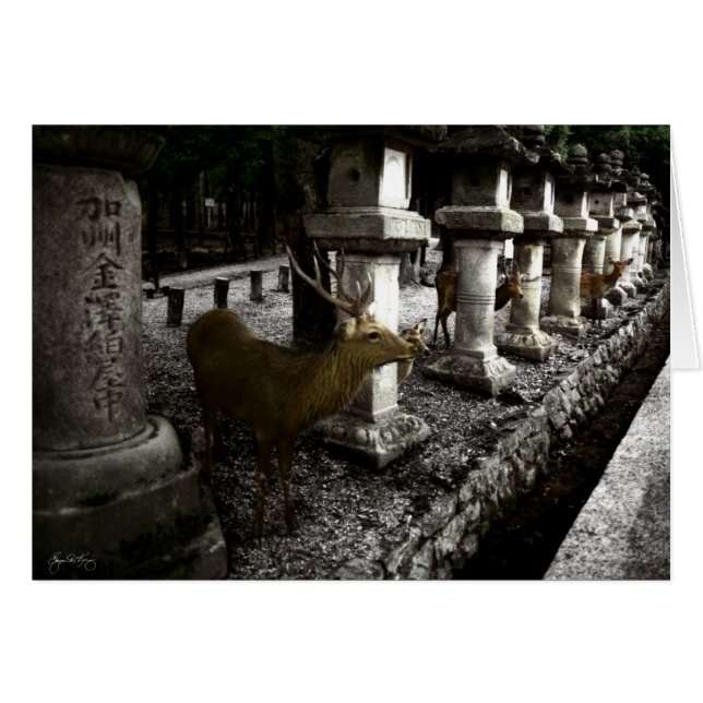 Venado sagrado de Nara Japón (Anverso (Horizontal))