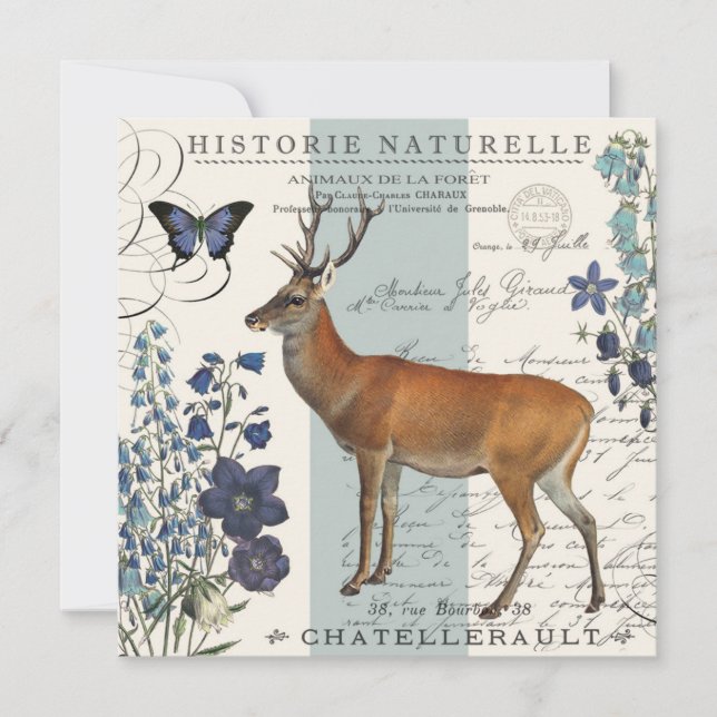 venado vintage moderno (Anverso)