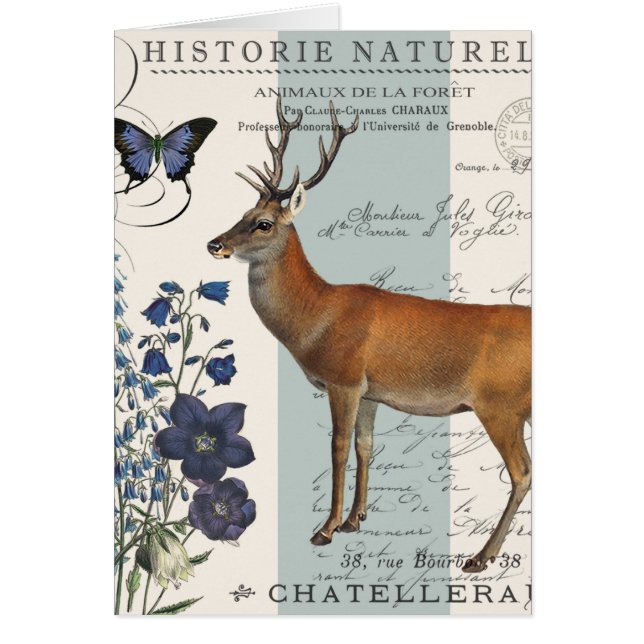 venado vintage moderno (Frente)