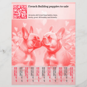 Vender cachorros Frenchie Diseño de folleto