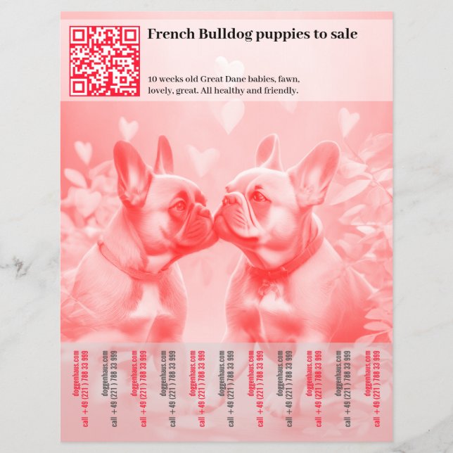 Vender cachorros Frenchie Diseño de folleto (Frente)