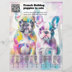 Vender cachorros Frenchie Diseño de folleto