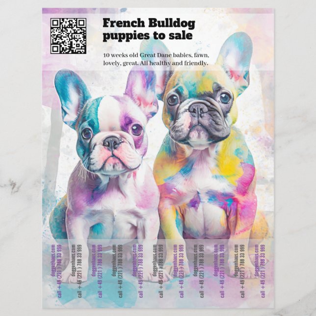 Vender cachorros Frenchie Diseño de folleto (Frente)