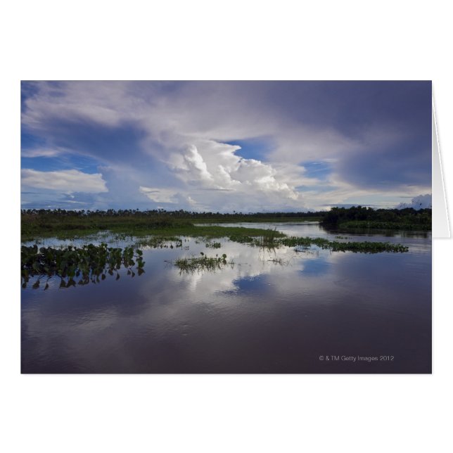 Venezuela, Delta Amacuro, Delta del Orinoco (Anverso (Horizontal))