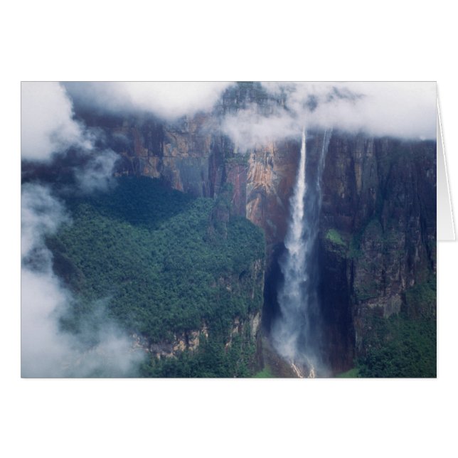Venezuela, Saltos del Ángel, Parque Nacional Canai (Anverso (Horizontal))