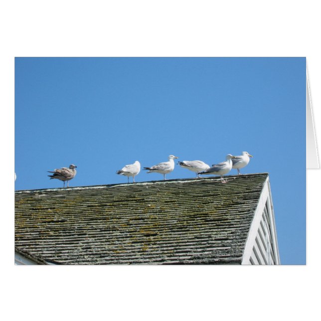 Venga junto (Anverso (Horizontal))