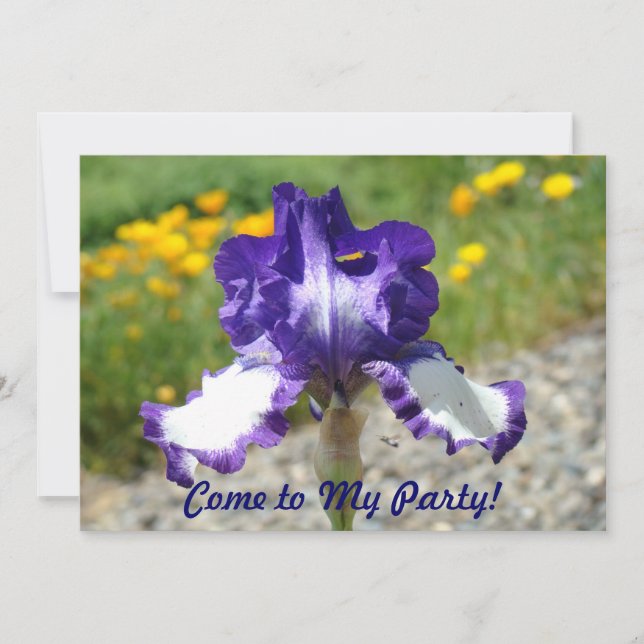 ¡Venido a mi fiesta! Invitaciones de la diversión (Anverso)