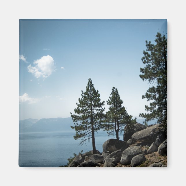 Ventaja de imán (Frente)