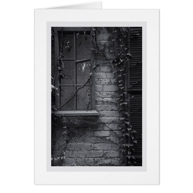 Ventana #23 (Frente)