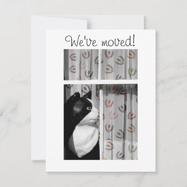 Ventana Cat Nueva tarjeta de Invitación residencia (Anverso)