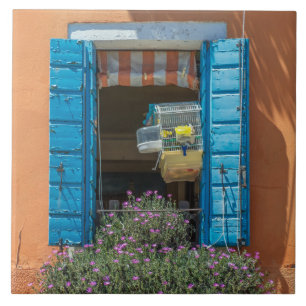 Ventana con baldosas cerámicas con vistas a la jau
