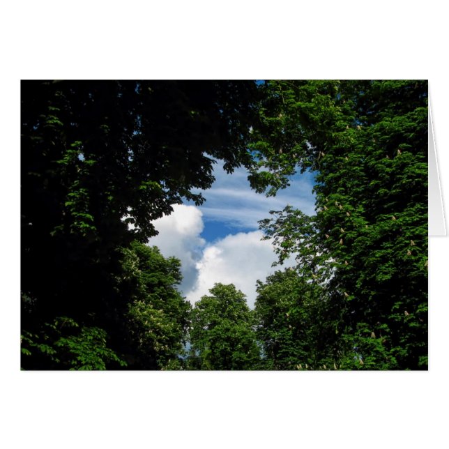 Ventana de árbol (Anverso (Horizontal))