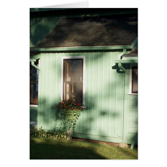 Ventana de la tarde (Frente)