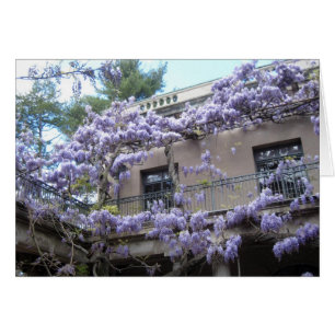 Ventana de las glicinias