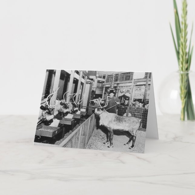 Ventana del navidad de Frederick y de Nelson (Anverso)