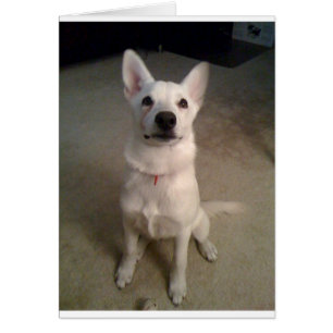 ventana emergente de gs blancos