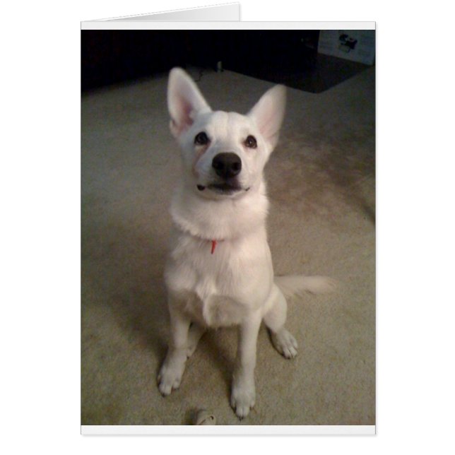 ventana emergente de gs blancos (Frente)