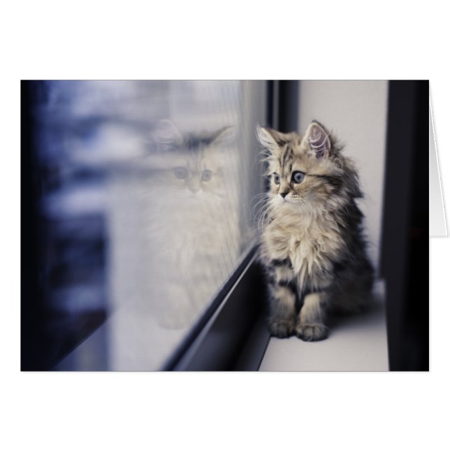 Ventana Mirando hacia fuera (Anverso (Horizontal))