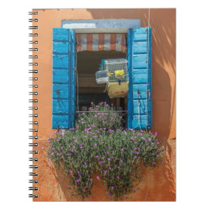 Ventana y cuaderno del birdcage