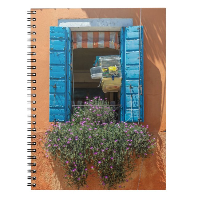 Ventana y cuaderno del birdcage (Frente)