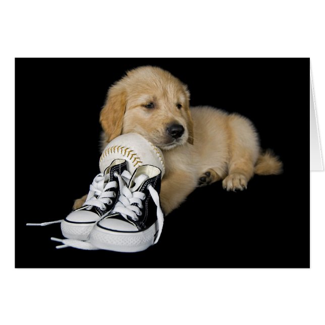 Ventilador del deporte (Anverso (Horizontal))