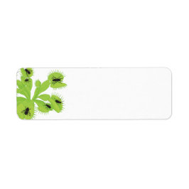 Venus Flytrampa con etiquetas de moscas