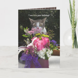 Veo que es tu tarjeta de cumpleaños lindo gato.