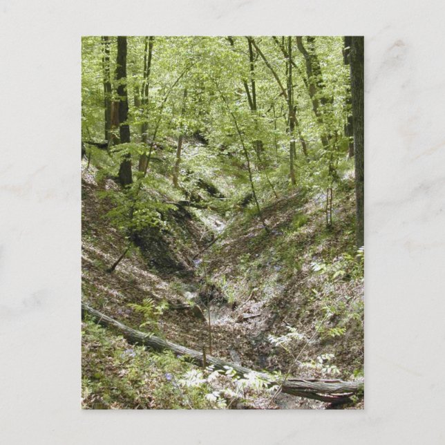 Ver desde postales del puente de los bordes (Anverso)