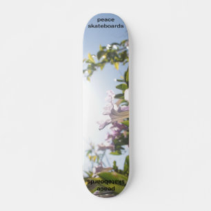 ver la patineta ligera