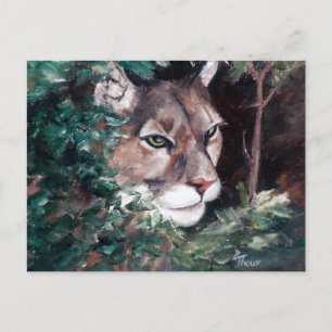 Ver la postal Cougar