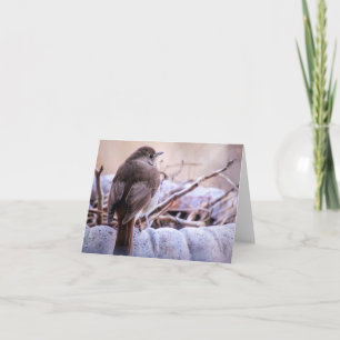 Ver la tarjeta de notas sobre las gotas de lluvia