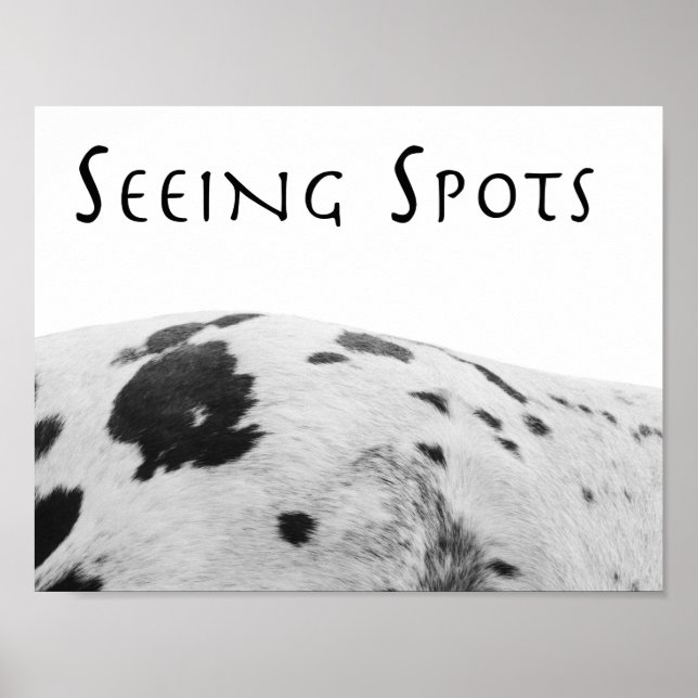 Ver Posters de Spots (Frente)