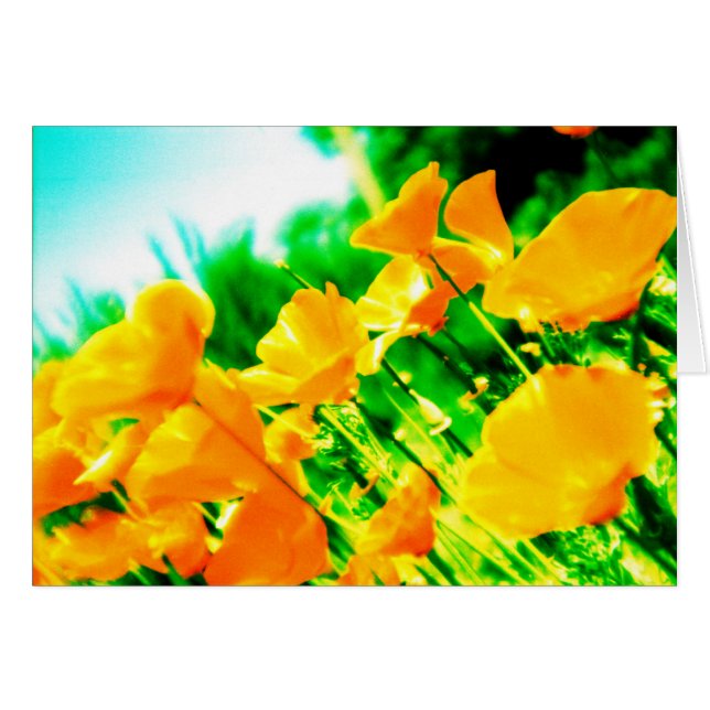 verano (Anverso (Horizontal))