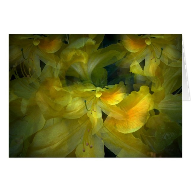 Verano (Anverso (Horizontal))