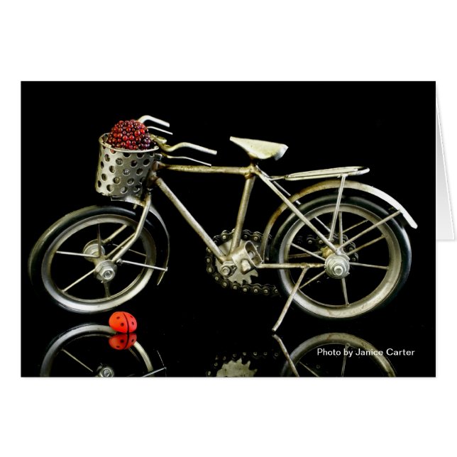 ¡Verano! (Anverso (Horizontal))