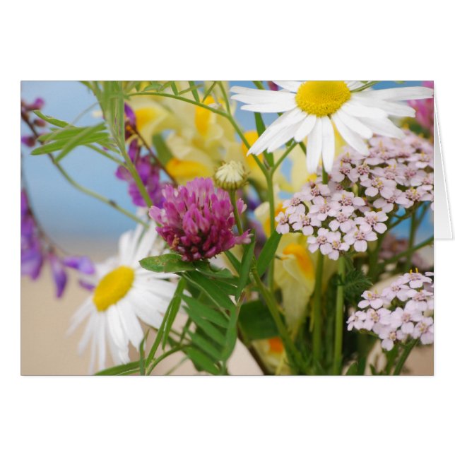 Verano (Anverso (Horizontal))