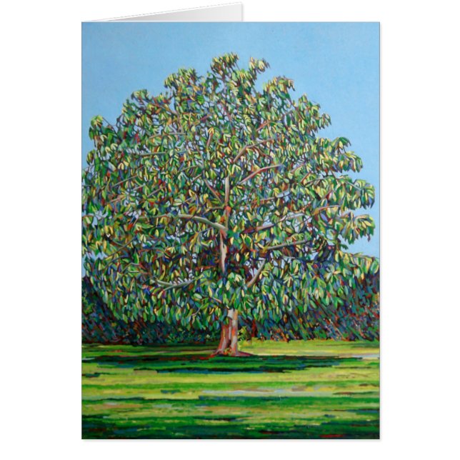 Verano del árbol del arco (Frente)