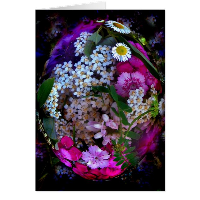 Verano elíptico (Frente)