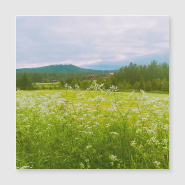 Verano en Hälsingland - Helsingia  (Anverso)