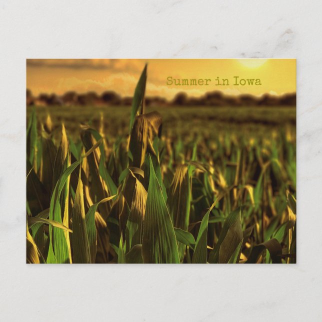 Verano en la postal de Iowa (Anverso)